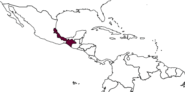 map of Austrochares mexicanus     Evans, 1966