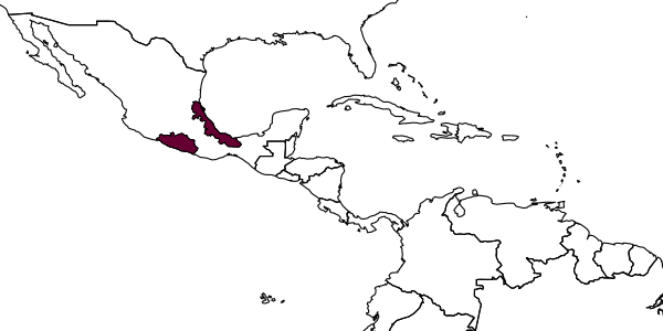 map of Hemidianeura quidra     Smith, 1992