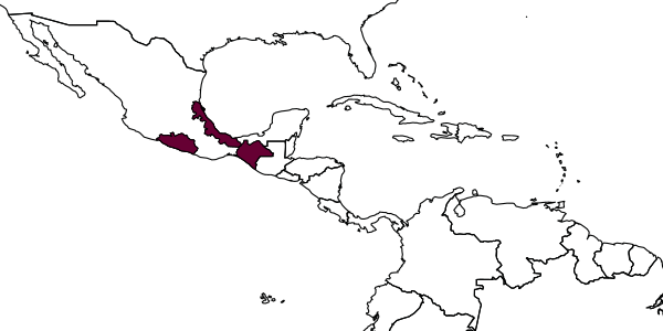 map of Enicospilus gomezpompai     Gauld, 1988