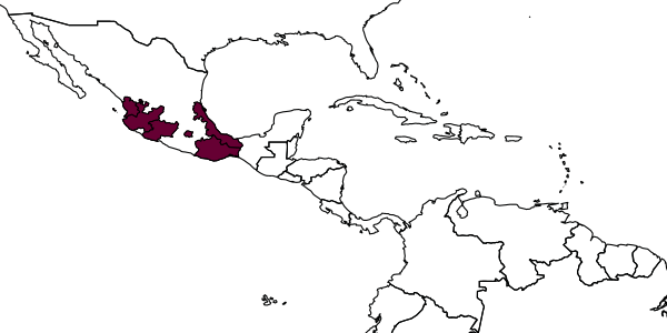 map of Krombeinia nayarit     Allen & Krombein, 1963