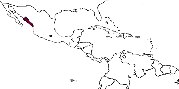 map of Mesochorus clinatus     Dasch, 1974