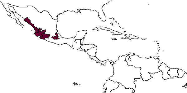 map of Ptiloglossa chamelensis     Ayala & Engel, 2014