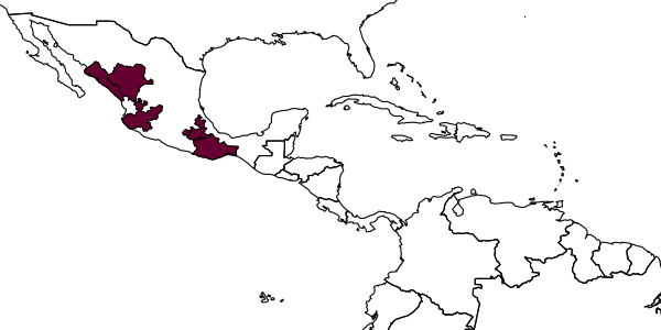 map of Solierella jaliscana     Bohart, 1990
