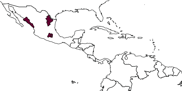 map of Apenesia tlahuicana     Evans, 1963