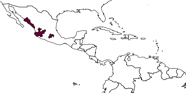 map of Psorthaspis macronotum  hurdi   Evans, 1954