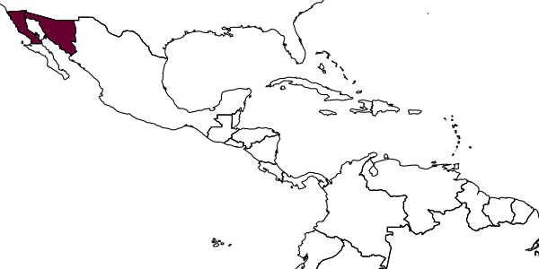map of Agapostemon mexicanus     Roberts, 1972