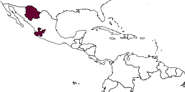 map of Amphibolips palmeri     Bassett, 1890
