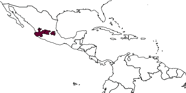 map of Agathirsia papoui     Pucci & Sharkey, 2004