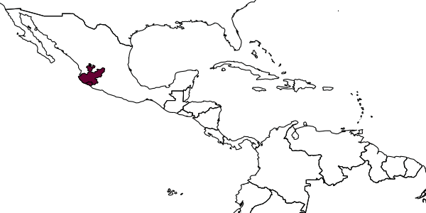 map of Plebeia manantlensis     Ayala, 1999