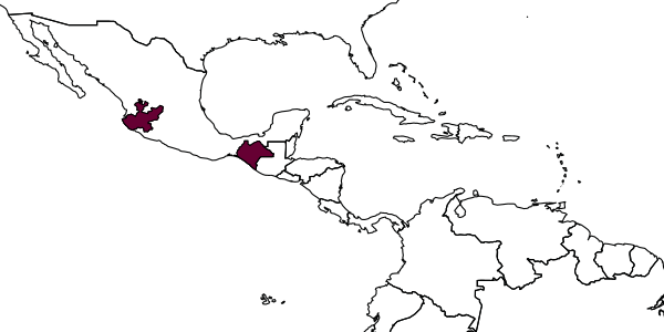 map of Diplazon triangulus     Dasch, 1964