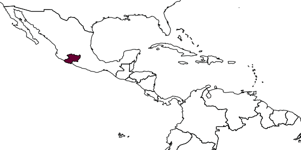 map of Amphibolips tarasco     Nieves-Aldrey & Pascual, in Nieves-Aldrey, 2012