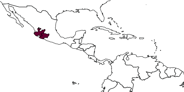 map of Andrena repanda     LaBerge, 1967