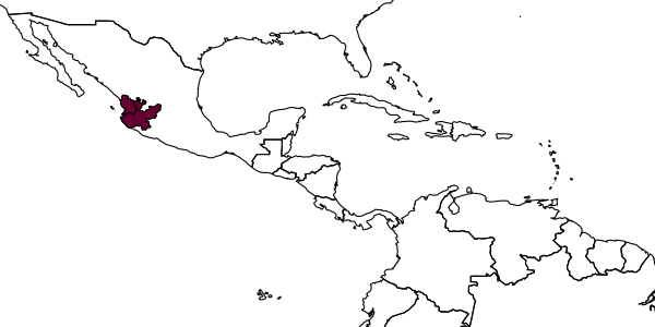 map of Megalopta tetewana     Gonzalez, Griswold & Ayala, 2010