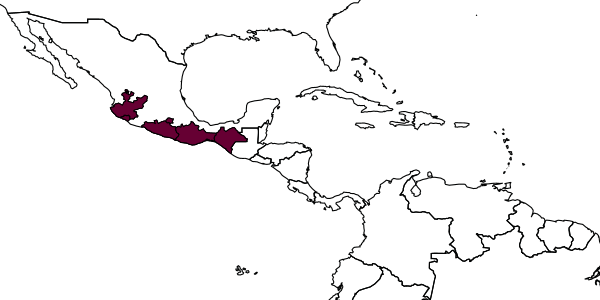 map of Gorytes samiatus     (Bohart, 1969)