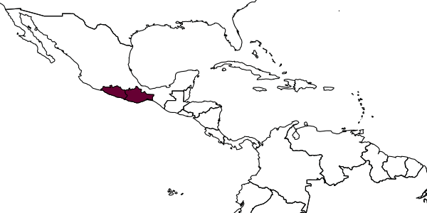 map of Plebeia fulvopilosa     Ayala, 1999
