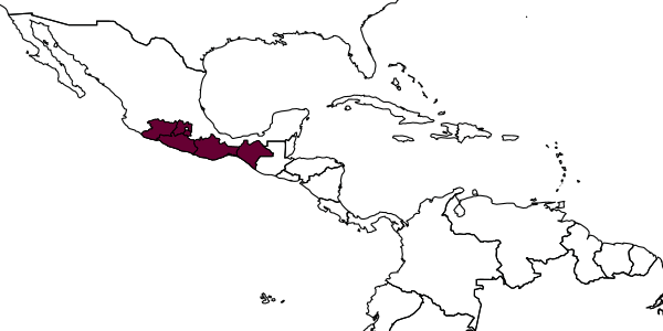 map of Geotrigona acapulconis     (Strand, 1919)