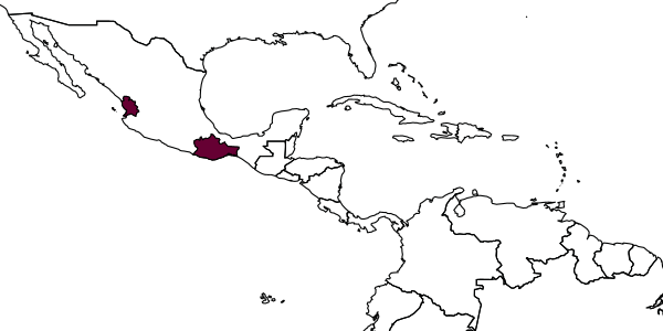 map of Triaspis eugenii     Wharton & López-Martínez, 2000