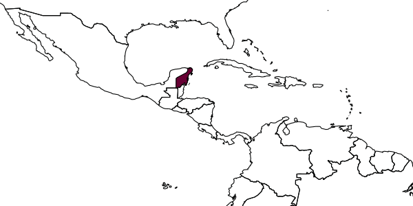 map of Trihaspis albicincta     Kasparyan, 2007