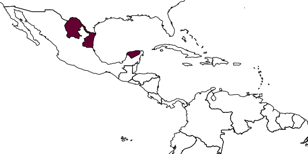 map of Lathrolestes quetzalcoatlus     Reshchikov, 2011