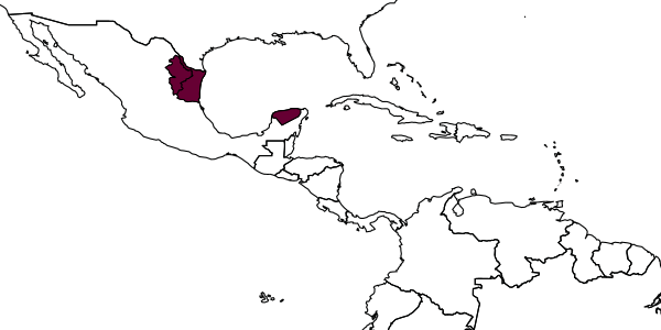 map of Cestrus arcuatorius     Kasparyan & Ruíz-Cancino, 2005