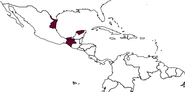 map of Lymeon rufinotum     Kasparyan & Ruíz, 2004