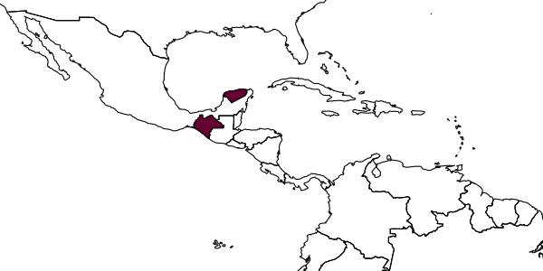 map of Exetastes gauldi     Khalaim & Ruíz-Cancino, 2012