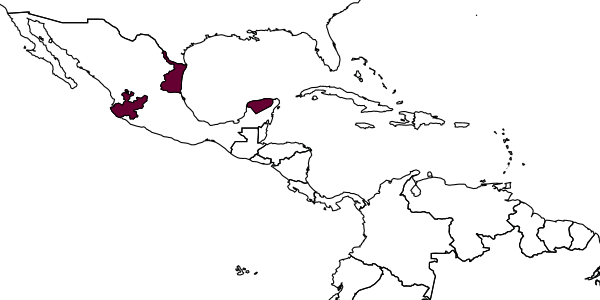 map of Lanugo yucatan     Kasparyan & Ruíz, 2005