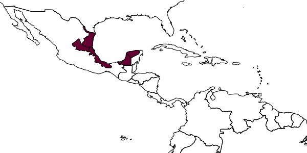 map of Centris meaculpa     Snelling, 1984