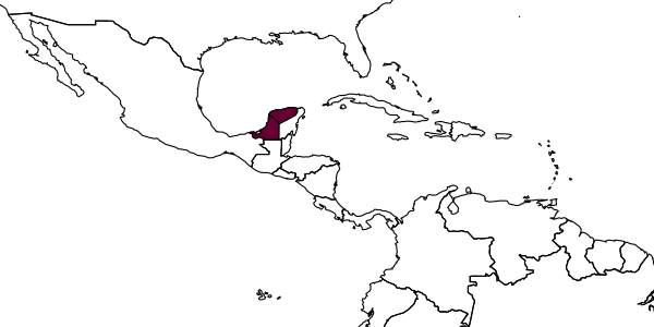 map of Trypoxylon chichenitzae     Coville, 1982