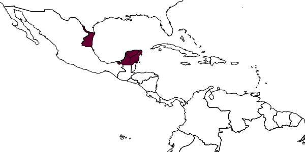 map of Dismodix scapulator     Kasparyan & Ruíz, 2008