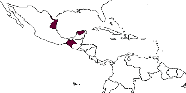 map of Diapetimorpha cognator     Kasparyan & Ruíz, 2005