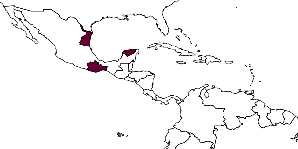 map of Mesostenus laevicoxis     Kasparayan & Ruíz, 2008