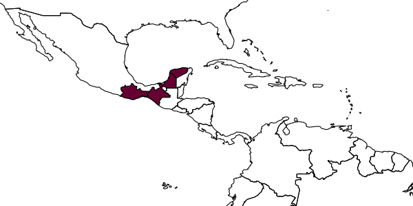 map of Melipona yucatanica     Camargo, Mou & Rou, 1988