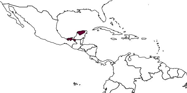 map of Lymeon rufatus     Kasparyan & Ruíz, 2004