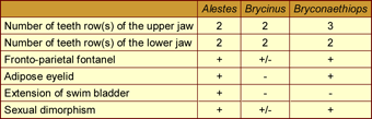 alestes characters